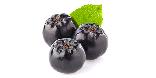 Bacche di aronia con foglia