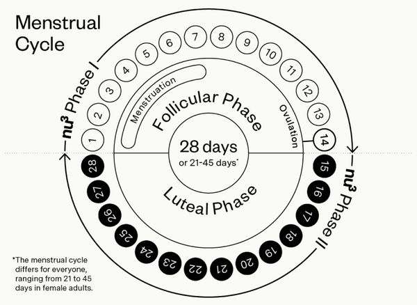 Il ciclo mestruale delle donne 